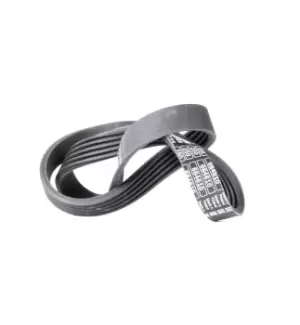 Image of Bosch V-ribbed belt PEUGEOT,CITROEN,PORSCHE 1 987 947 831 575074,5750P5,5750P6 91541144,91541175,575074,5750P5,5750P6,91541144,91541175