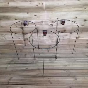 Image of Pack of 3 Tom Chambers Urban Metal Herbaceous Garden Plant Support Ring Large 40cm x 60cm
