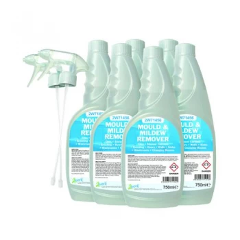 Image of 2Work Mould And Mildew Cleaner 750ml Pack of 6 252SVW