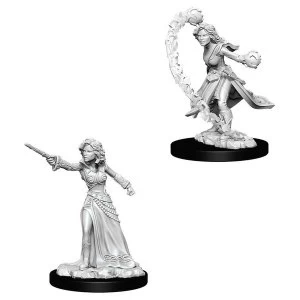 Image of Pathfinder Battles Deep Cuts Unpainted Miniatures (W1) Female Human Wizard