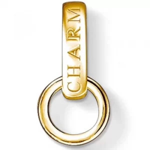 Image of THOMAS SABO Gold Plated Round Single Charm Carrier X0248-413-39