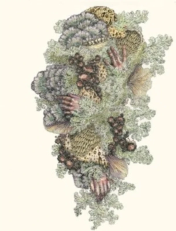 Image of Monuments to Impermanence CD / Album Digipak