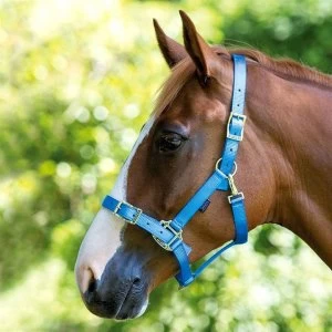 Image of Shires Pro Adjustable Headcollar - Blue