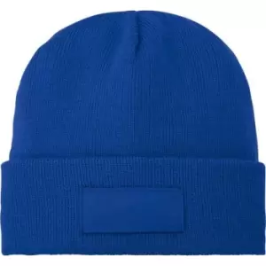 Image of Bullet Boreas Beanie With Patch (One Size) (Blue)
