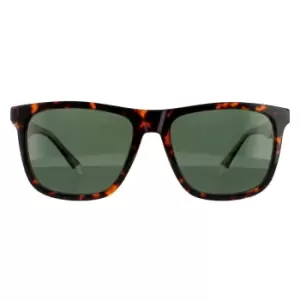 Image of Square Havana Green Polarized Sunglasses