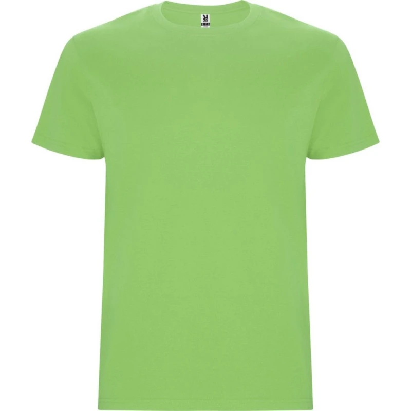 Image of ROLY ROLY Men Stafford T-Shirt in Dark Olive Size: Small Dark Olive S Male 5063527411952