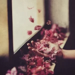 Image of Vintul Prin Salcii by Petre Inspirescu Vinyl Album