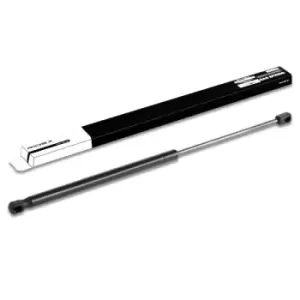 Image of RIDEX Tailgate strut Eject Force: 380N 219G0135 Gas spring, boot- / cargo area,Boot struts FIAT,STILO (192)