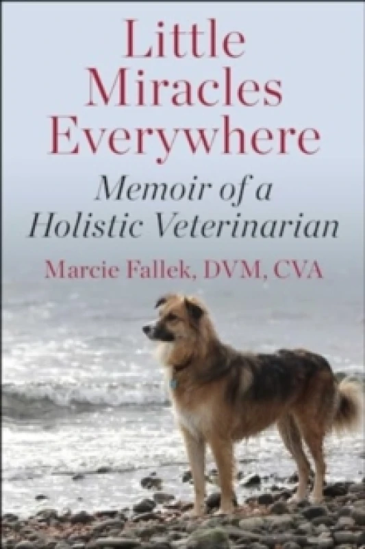 Image of Little Miracles Everywhere : My Unorthodox Path to Holistic Veterinary Medicine Hardback