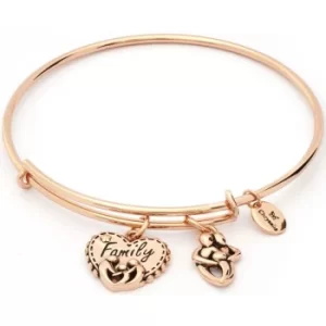 Image of Ladies Chrysalis Rose Gold Plated Thinking Of You Family Expandable Bangle