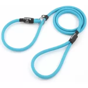 Image of Strong Nylon Slip On Rope Dog Puppy Pet Lead Leash - No Collar Needed - Light Blue - Large - Bunty