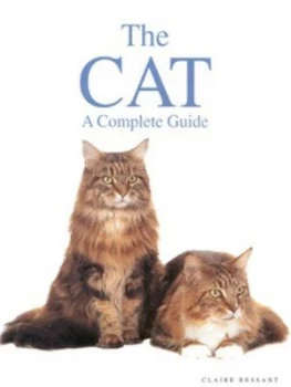 Image of The Cat by Claire Bessant Hardback