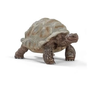 Image of Schleich Wild Life - Giant Tortoise Figure