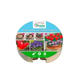 Image of Plant-o-Mat Tray of 19 Tulip and Crocus Bulbs