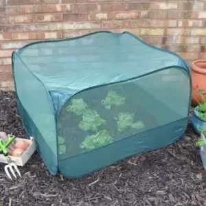 Image of Pop-up Net Fruit Cage (without door) - 1.25m x 1.25m x 0.65m High