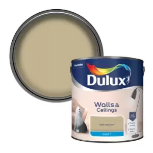 Image of Dulux Walls & Ceilings Wild Wonder Matt Emulsion Paint 2.5L