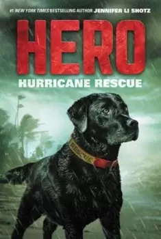 Image of Hurricane rescue - Jennifer Li Shotz - Paperback - Used