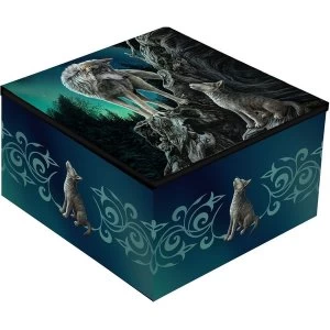 Image of Guidance Wolf Mirror Box