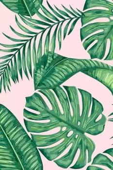 Image of 'Dominica' Wallpaper