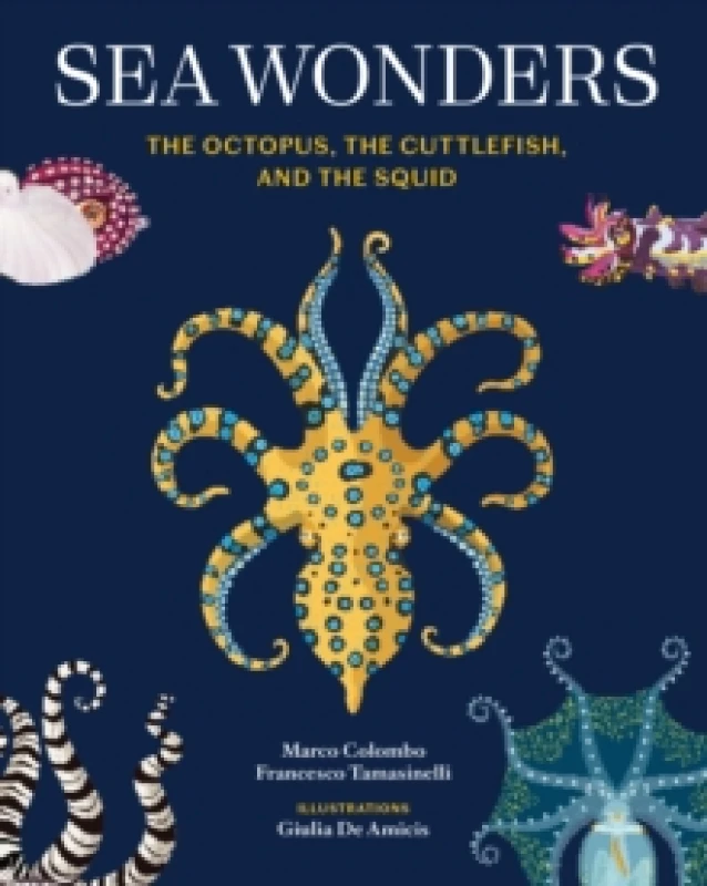 Image of Sea Wonders : The Octopus, the Cuttlefish, and the Squid Hardback