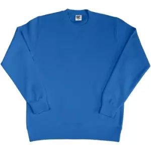 Image of SG Ladies/Womens Crew Neck Long Sleeve Sweatshirt (S) (Royal)