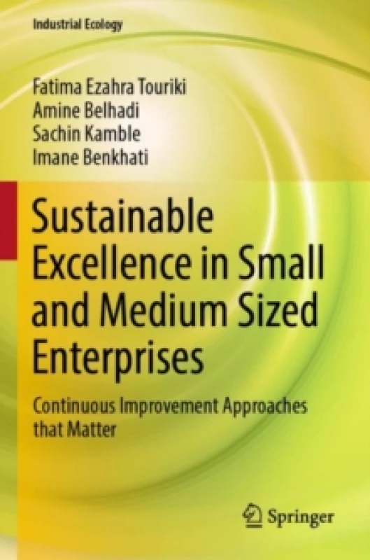 Image of Sustainable Excellence in Small and Medium Sized Enterprises : Continuous Improvement Approaches that Matter Paperback / softback