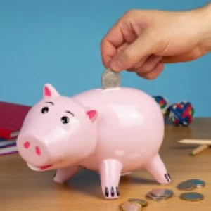 Image of Hamm Piggy Bank
