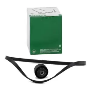 Image of INA V-ribbed belt set Check alternator freewheel clutch & replace if necessary 529 0100 10 Serpentine belt kit,Auxiliary belt kit RENAULT,FIAT,PEUGEOT