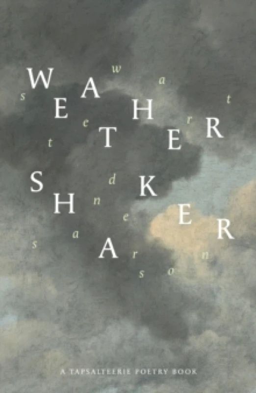 Image of Weathershaker Paperback / softback