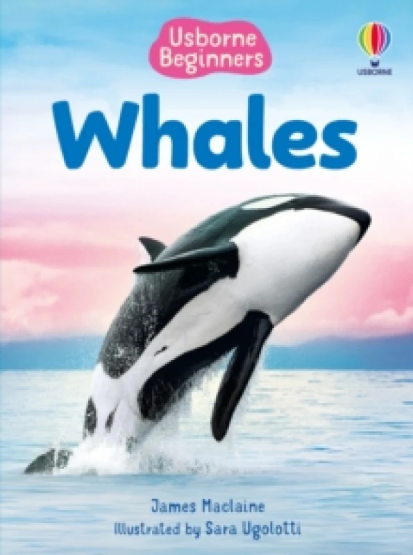 Image of Beginners Whales Hardback