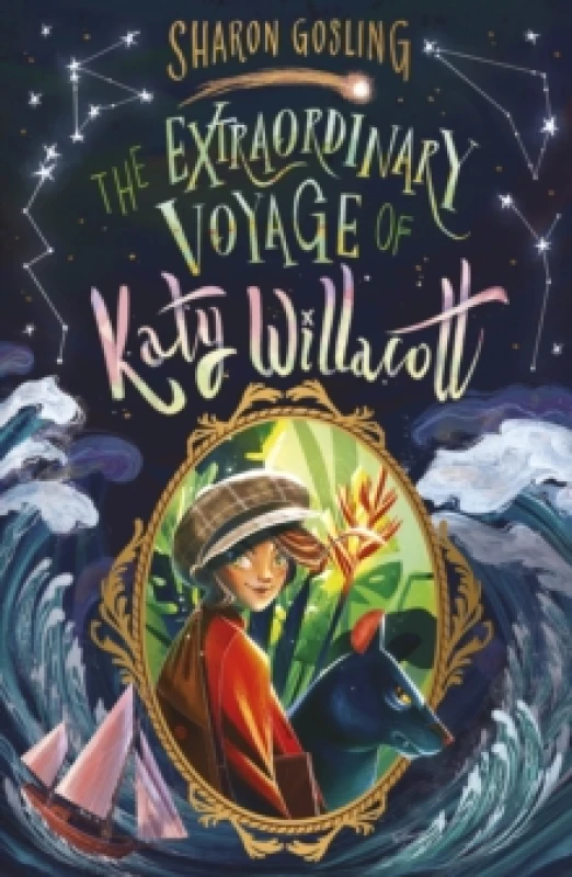 Image of Sharon Gosling The Extraordinary Voyage of Katy Willacott Book Multi unisex