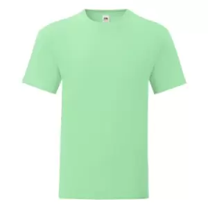 Image of Fruit Of The Loom Mens Iconic T-Shirt (XXL) (Neo Mint)