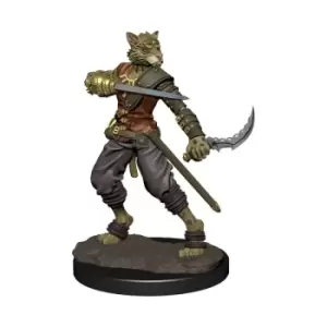 Image of D&amp;D Icons of the Realms Premium Miniature pre-painted Tabaxi Rogue Male Case (6)