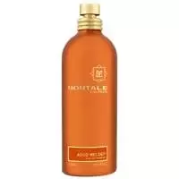 Image of Montale Aoud Melody Eau de Parfum Unisex 100ml