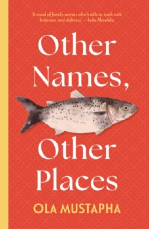 Image of Other Names, Other Places : A dazzling novel of family, identity and self Paperback / softback