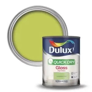 Image of Dulux Quick Dry Luscious Lime Gloss Eggshell Low Sheen Paint 750ml