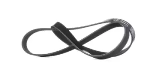 Image of RIDEX V-ribbed belt 305P0306 Serpentine belt,Auxiliary belt OPEL,FORD,CHEVROLET,ZAFIRA B (A05),Astra H Caravan (A04),Astra H Schragheck (A04)