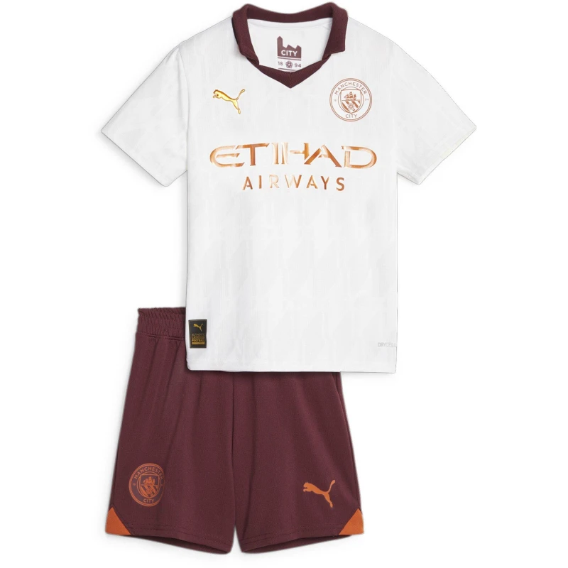 Image of Puma Manchester City 23/24 Away Little Kids Kit - Burgundy, Size 3-4 Years Burgundy VMI9M Unisex 3-4 YEARS