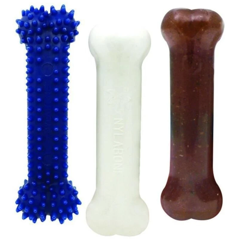 Image of NYLABONE Nylabone Puppy Kit: Pet Store S6103376