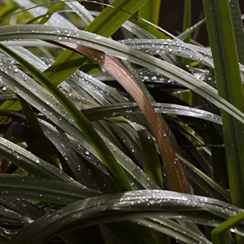 Image of Detroit Swindle - Life Behind Things Ep (Ft. Lso Vinyl