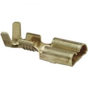 Image of MTA Matching spade plug 6.3 mm