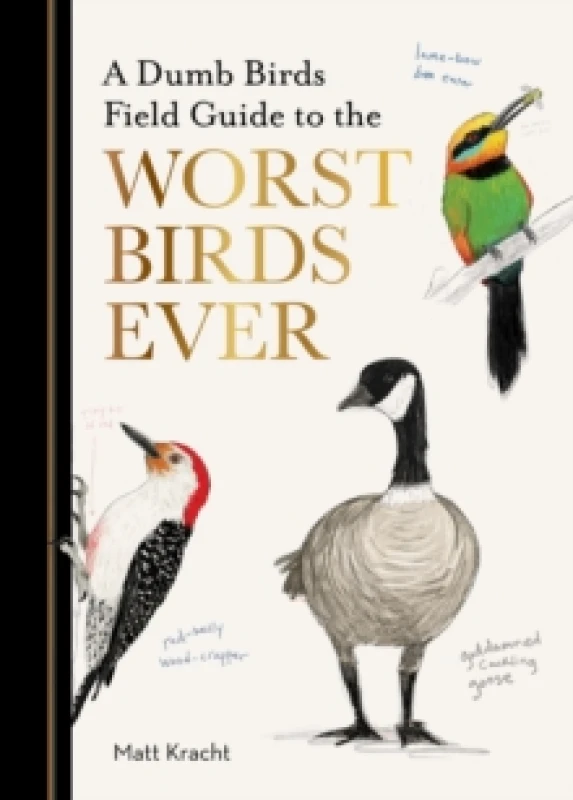 Image of A Dumb Birds Field Guide to the Worst Birds Ever Paperback / softback