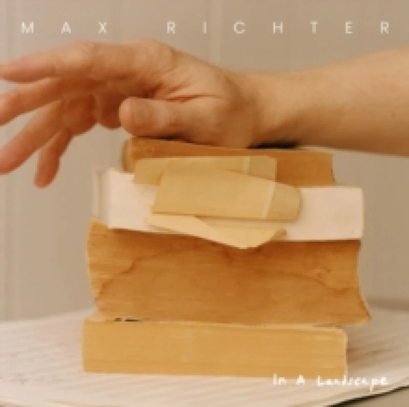 Image of Max Richter: In a Landscape Vinyl