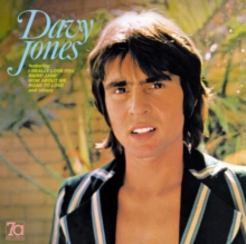 Image of Davy Jones Vinyl