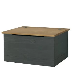 Image of Halea Storage Trunk - Carbon