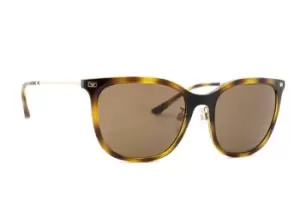 Image of Emporio Armani EA 4181 500273 54