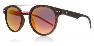 Image of Polaroid PLD6031/S Sunglasses Matte Havana N9P Polariserade 49mm