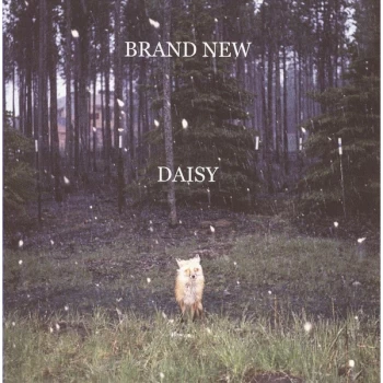 Image of Brand New - Daisy Vinyl