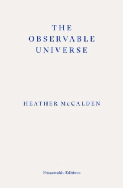 Image of The Observable Universe Paperback / softback