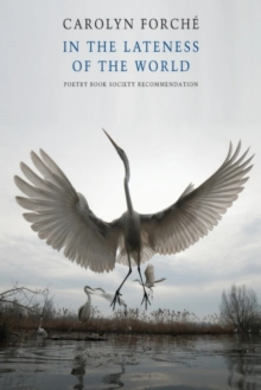 Image of In the Lateness of the World Paperback / softback